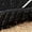 Black, variant on Ticikt Boys & Girls' Non- Water Shoes, Breathable Minimalist Shoes for Beach, Hiking & Play,Blue