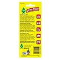thumbnail image 4 of Little Trees Caribbean Colada Air Freshener, (Pack of 24), 4 of 9