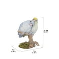 thumbnail image 5 of Garden Decor Animal Statue Pacific Parrot Couple On Branch Statue, 5 of 5