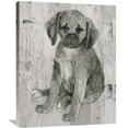 thumbnail image 1 of Global Gallery Albena Hristova 'Paco in Grey Tones' Canvas Wall Art, 1 of 4
