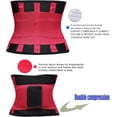 thumbnail image 6 of Waist Trainer Belt for Women - Waist Cincher Trimmer - Slimming Body Shaper Belt - Sport Girdle Belt (UP Graded), 6 of 15