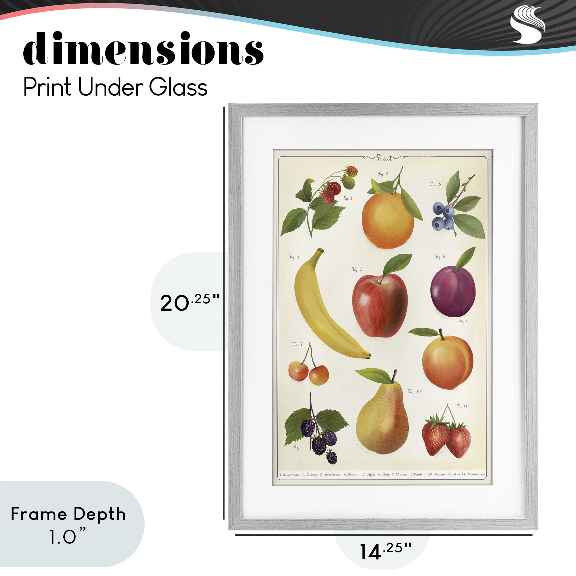 Stupell Industries Fruit Collection Studies Gray Framed Print Under Glass, design by Diane Neukirch
