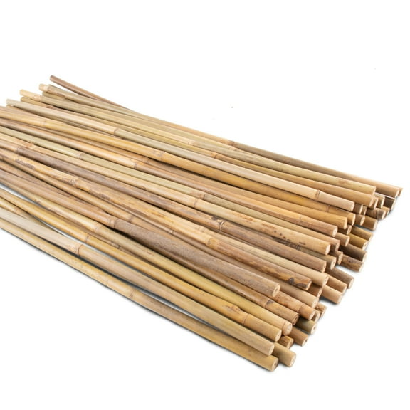 50Pcs Bamboo Garden Stakes, 16 Inch Natural Plant Support Sticks for Tomatoes Beans Potted Plants, Indoor Outdoor Use, Sturdy Reble Poles, Beige