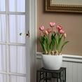 thumbnail image 2 of 18" Pink Tulip Flowers, 2 of 4