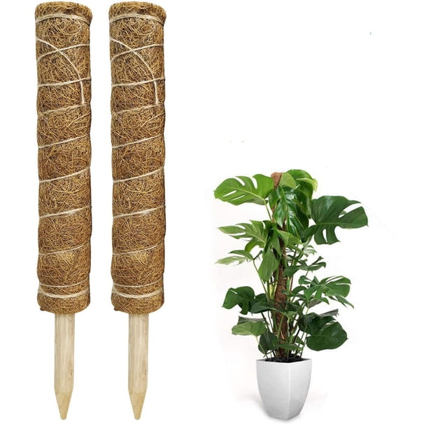 Lemecima 2 piezas 41CM varilla de musgo enrejado varilla de planta con 10 etiquetas de plantas para el nombre de la planta tiempo de siembra enrejado Monstera hecho de fibra de coco para soporte de planta de jardín en casa extensión de varilla de coco Zhivalor CWY-2082