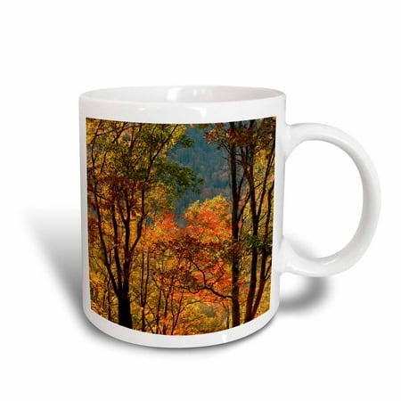 3dRose USA, Tennessee. Fall foliage in the Smoky Mountains. - Ceramic Mug,