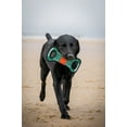 thumbnail image 3 of Pets First Collegiate Miami Hurricanes Football Field Toy for DOGS & CATS. Heavy-Duty, Durable toys with Squeakers, 3 of 6