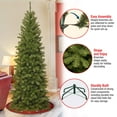 thumbnail image 4 of National Tree Company North Valley Spruce 7 Foot Slim Artificial Christmas Tree, 4 of 4