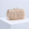 thumbnail image 3 of Unique Women Evening Bag Vintage Style Lady Handbag Feather Chain Fashion Socialite Dinner Bag Clutch Beige Color, 3 of 9
