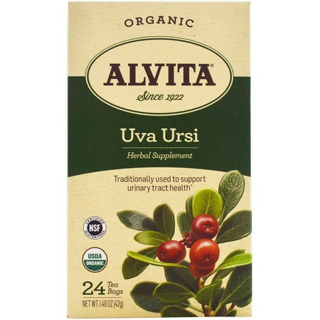 Alvita Uva Ursi organique à base de plantes supplément Sachets de thé, 24 comte, 1,48 oz (pack de 3)