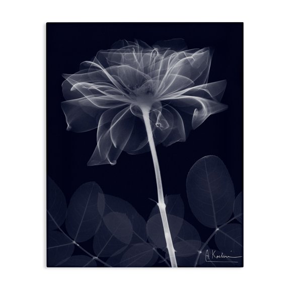 Stupell Industries Contemporary Dark Flower Shape Canvas Art, 24 x 30, by Albert Koetsier