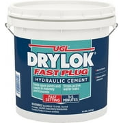 Drylok 00924 10lb Fast Plug Hydraulic Cement - 2ct. Case