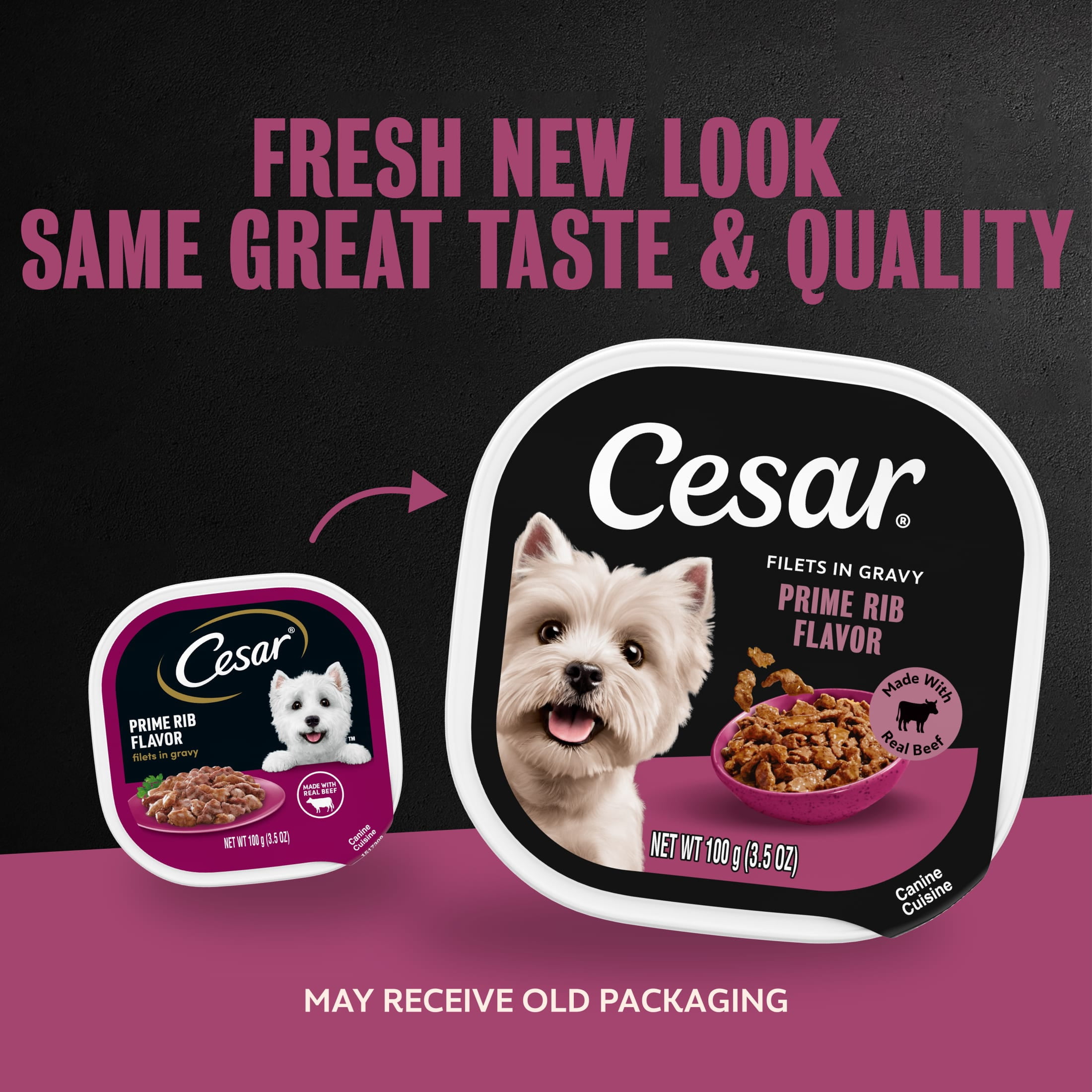 Cesar Filets in Gravy Wet Dog Food, Prime Rib Flavor, 3.5 oz. Trays, Pack of 24