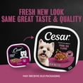thumbnail image 4 of Cesar Filets in Gravy Wet Dog Food, Prime Rib Flavor, 3.5 oz. Trays, Pack of 24, 4 of 14