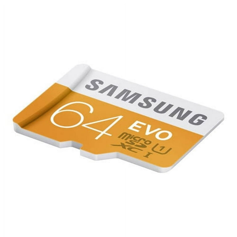 Samsung Evo SDXC 64 Go (48Mo/s) + adaptateur SD - Carte mémoire