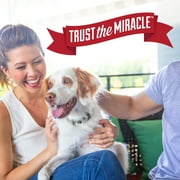 Nature’s Miracle Oxy Formula Set-In Stain Destroyer for Dogs, Orange Scent, 1 gal