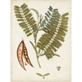 thumbnail image 2 of Vision Studio 15x18 White Modern Wood Framed Museum Art Print Titled - Vintage Charm VII, 2 of 4