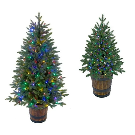 3 ft. Potted Slim Hamilton Pine Trees with Multi-Colored & Multi-Function LED Lights