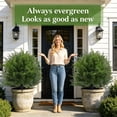 thumbnail image 3 of Artificial Cedar Topiary Tree in Pot, UV Resistant Weatherproof Faux Evergreen, Pre-Potted for Front Door Porch Patio Yard Indoor Garden Decor(4PCS)(k), 3 of 5