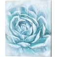 thumbnail image 2 of Great Art Now Aqua Succulent by Ramona Murdock 3 Piece Canvas Art Set Each 12W x 15H, 2 of 5