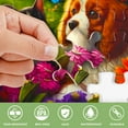 Quokka Puzzle Alzheimer – 3x35 Pièces – Grandes Pièces – Oiseaux Et Cheval – Jeu Cognitif Pour Seniors
