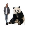 thumbnail image 2 of Advanced Graphics 1485 Giant Panda - 57" x 49" Cardboard Standup, 2 of 3