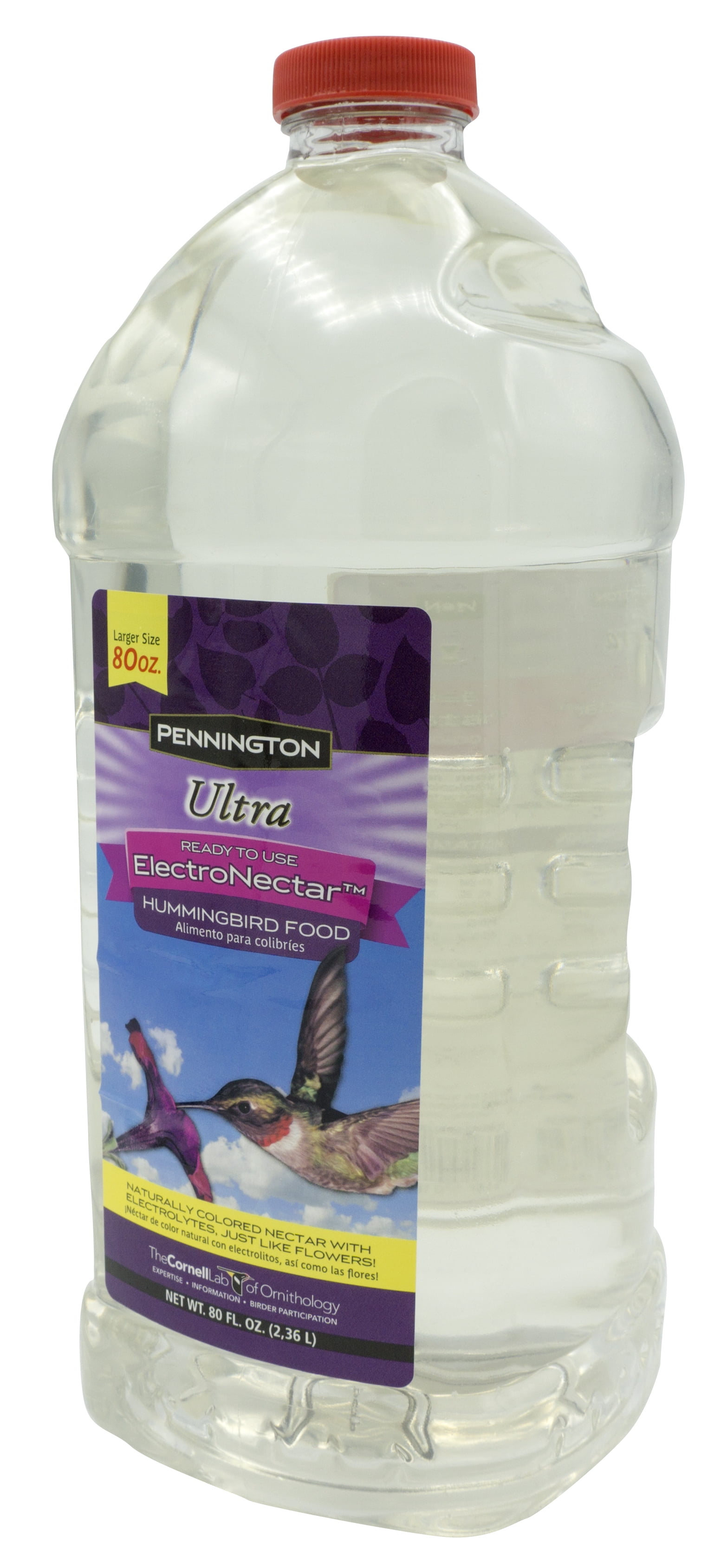 Pennington Decorative Hummingbird Feeder Shelly Lighting