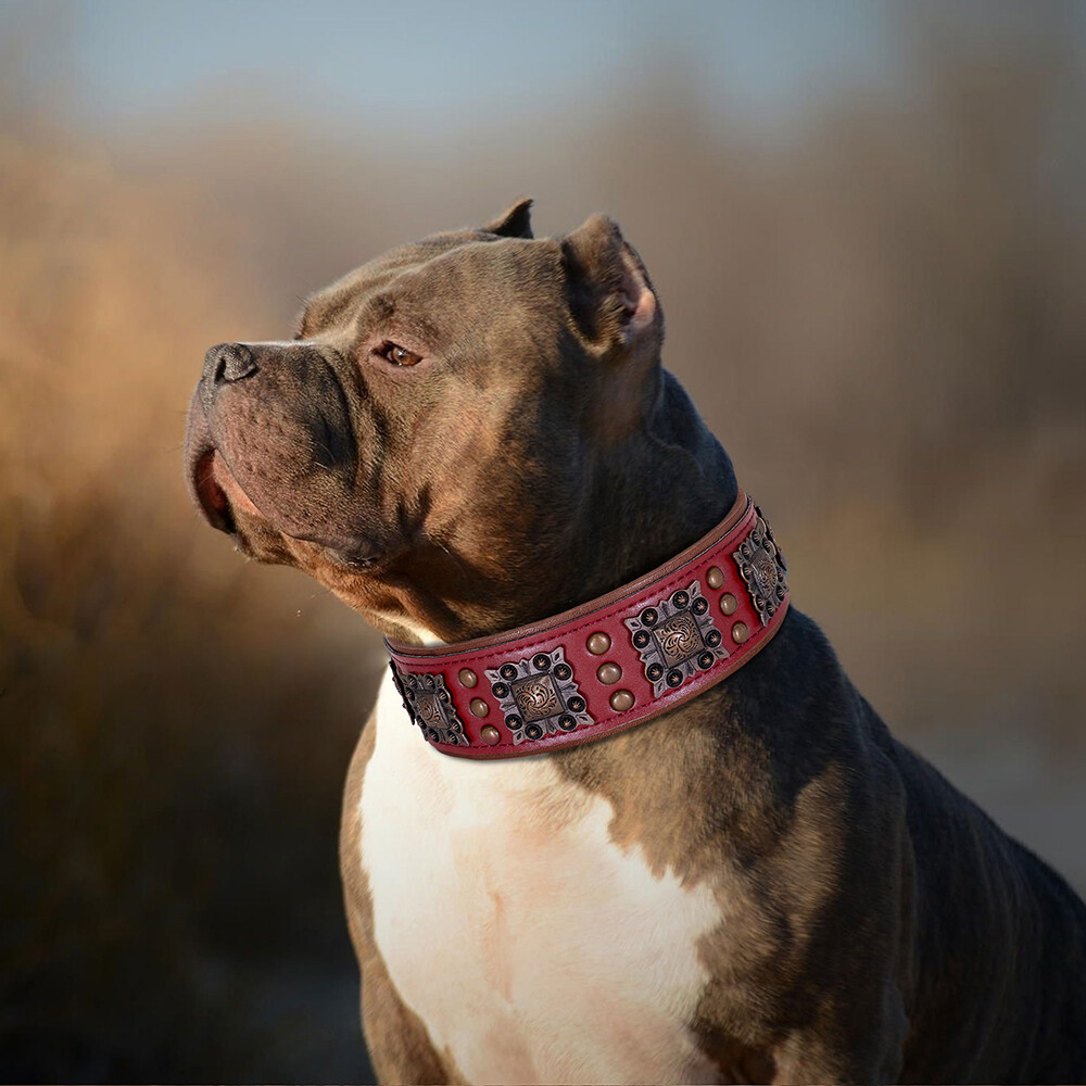Pet Artist 2 Inch Wide Dog Collars Retro Studded Real Leather Large Pet Collars Heavy Duty Rottweiler L XL XXL