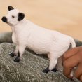 thumbnail image 2 of Figura Schleich Farm World Realistic Galloway Cow Kids 3+, 2 of 5