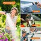 thumbnail image 5 of Garden Watering Gun, Watering Gun with Watering Hose Nozzle, for Watering Plants, Cleaning Pets, Cleaning Windows, 5 of 5
