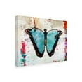 thumbnail image 2 of John Baran 'Blue Morpho 1' Canvas Art, 2 of 3