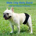 thumbnail image 1 of Male Dog Belly Band Pet Diaper Washable Wrap Waterproof Toilet Training Dog Physiological Pant, 1 of 5
