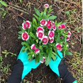 thumbnail image 2 of Guantes de jardinería para plantar, guantes de jardinería, el mejor regalo para mujeres, 2 of 4