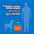 thumbnail image 4 of Juguete para perros Chuckit! Pelota Big Air Fetch (35,56 cm) para todas las razas, 4 of 7