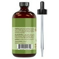 thumbnail image 7 of Beauty Aura 100% Pure Eucalyptus Essential Oil - 4 fl oz, Therapeutic Grade Oil - Ideal for Aromatherapy | Made in USA, 7 of 7