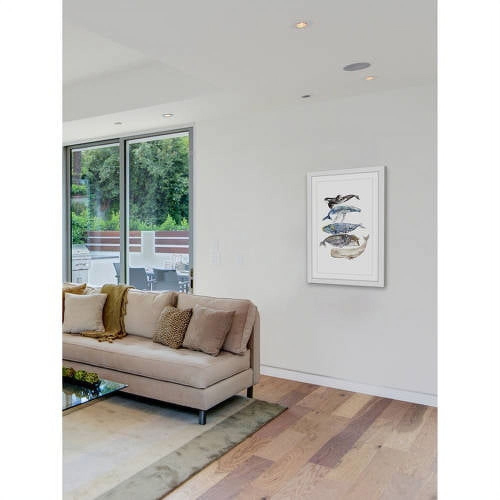 Marmont Hill "Whale Species" by Rachel Byler Framed Painting Art Print
