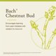 thumbnail image 3 of Flor Essence Bach Original Castaño Bach, 20 ml, vegano, 3 of 6