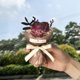 thumbnail image 5 of Decoraciones para el día de San Valentín, mini ramo de bolsillo, rosas, girasoles, flores eternas, simulación de flores, caja de regalo, regalo de cumpleaños, decoración, réplicas en miniatura., 5 of 6
