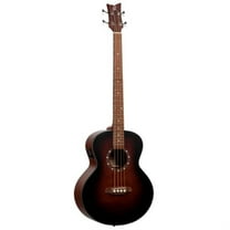 Deep Series Medium Scale Acoustic-Electric Bass