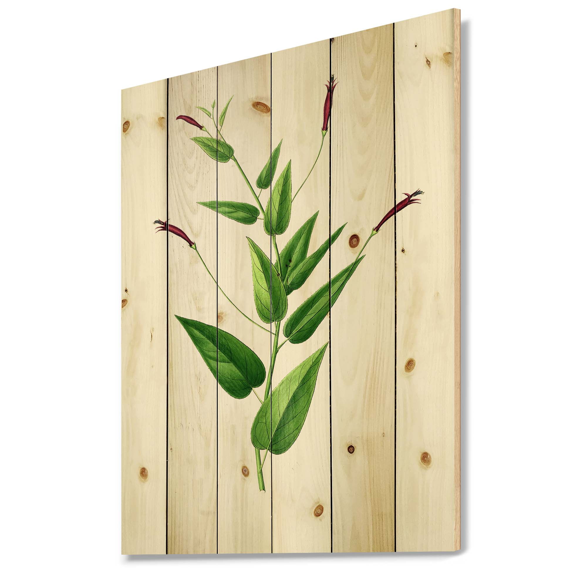 Designart 'Ancient London Plants VII' Traditional Print on Natural Pine Wood