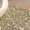Gold, variant on Gold Women'S Flats Pointed Toe Shallow Toe Sequined Comfortable Breathable Non Slip Soft Sole Daily Wear Versatile Lightweight Cushioned