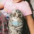 thumbnail image 3 of JIEMUCES Collier pour Animaux avec Clochette Réglable Réfléchissant pour Chien Chat avec Étui AirTag Accessoires pour Détecteur GPS Fournitures pour Chaton Chiot, 3 of 8