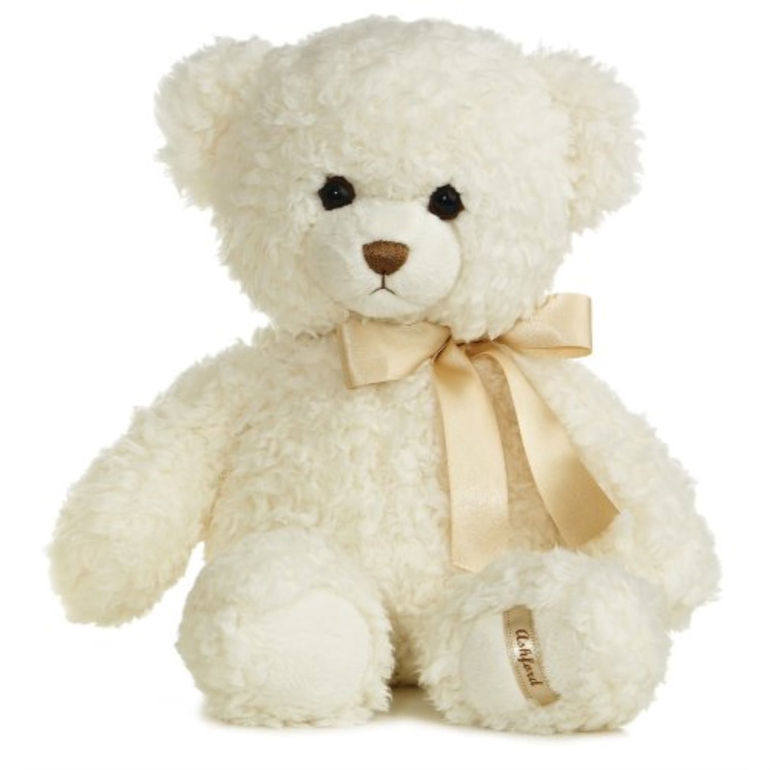 cutest teddy bear in the world