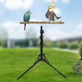 thumbnail image 3 of Adjustable Bird Perch | Bird Training Perch | Bird Perch Height Stand | Standing, 3 of 5