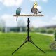 thumbnail image 3 of Adjustable Bird Perch | Bird Training Perch | Bird Perch Height Stand | Standing, 3 of 5