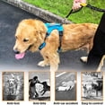 thumbnail image 5 of Leash dog Leash Running Hands Free Elastic Reflective Training Pet Bungee Dog Lead Leash, 5 of 5