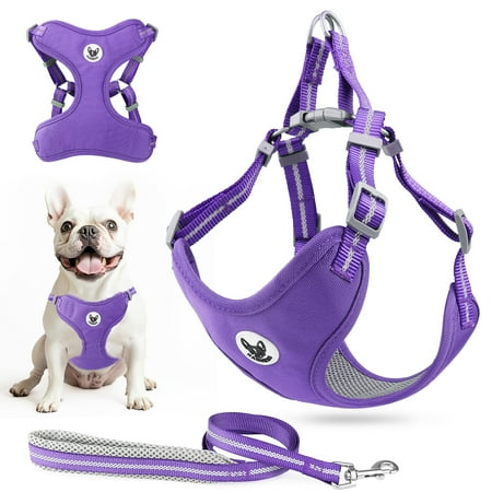 PcEoTllar Dog Harness and Leash Set
