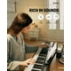 thumbnail image 4 of Teclado de piano Donner DEP-1 de 88 teclas con soporte, pedal y funda, 4 of 8
