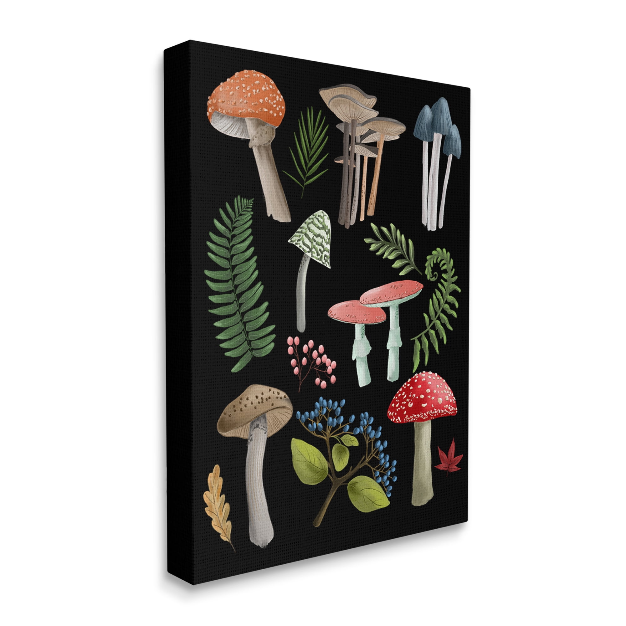 Stupell Industries Woodland Botanicals on Black Botanical & Floral Painting Gallery Wrapped Canvas Art Print Wall Art, 16 x 20