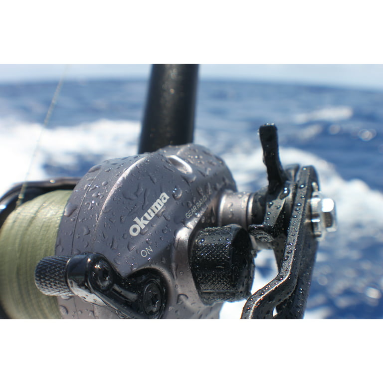 Okuma Tesoro 12-Size High Speed Star Drag Fishing Reel 